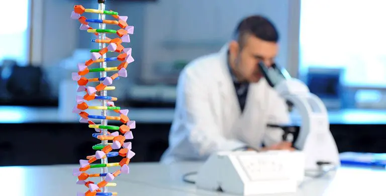 How To Find The Best Enzyme Manufacturers In India?