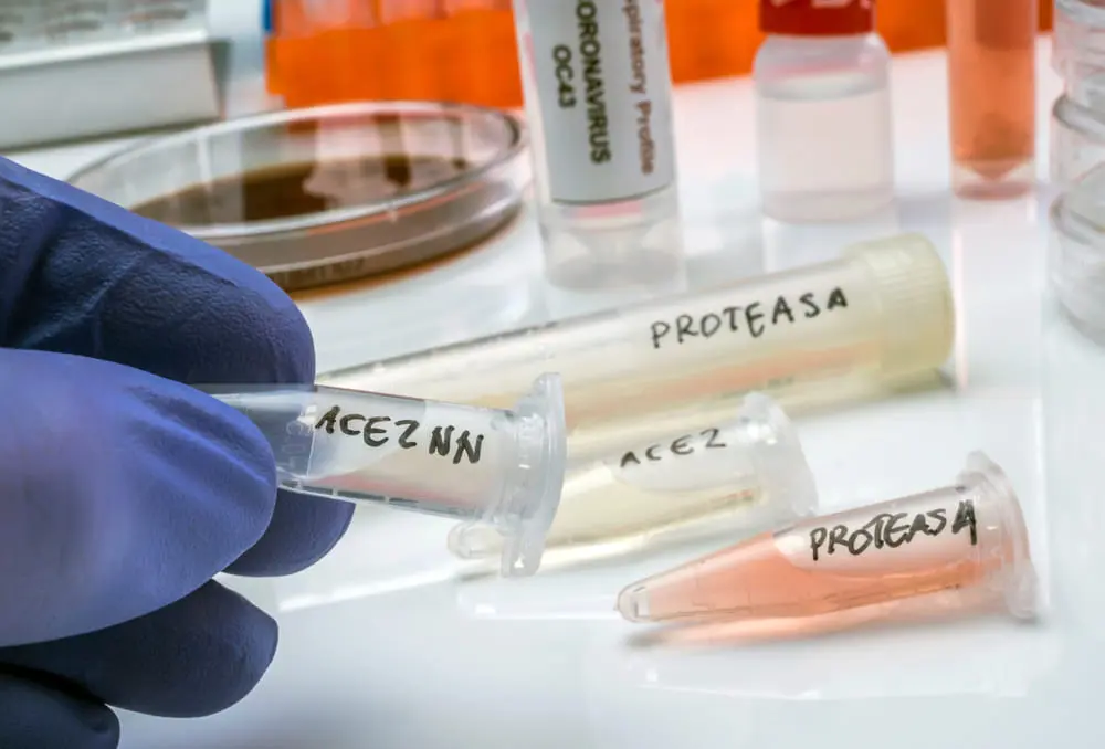 Trypsin Enzyme, A Medical Marvel!