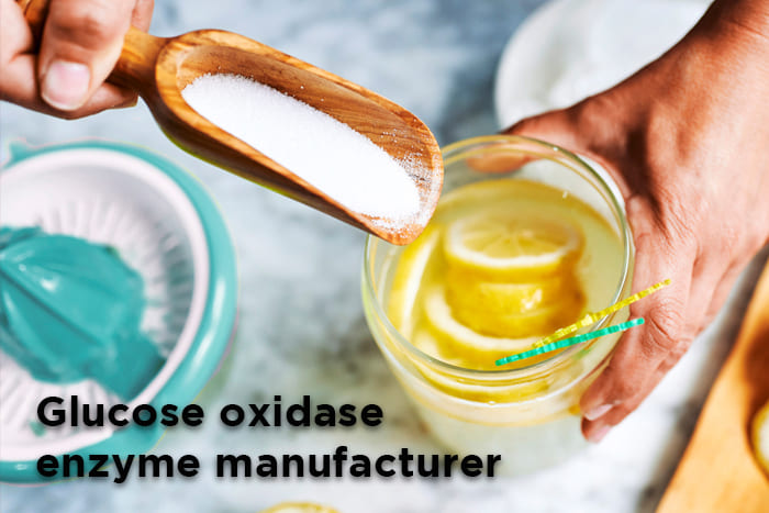 Glucose oxidase enzyme manufacturer in vadodara