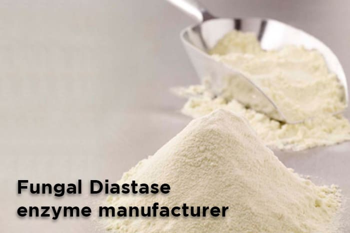 Fungal Diastase enzyme manufacturer in India