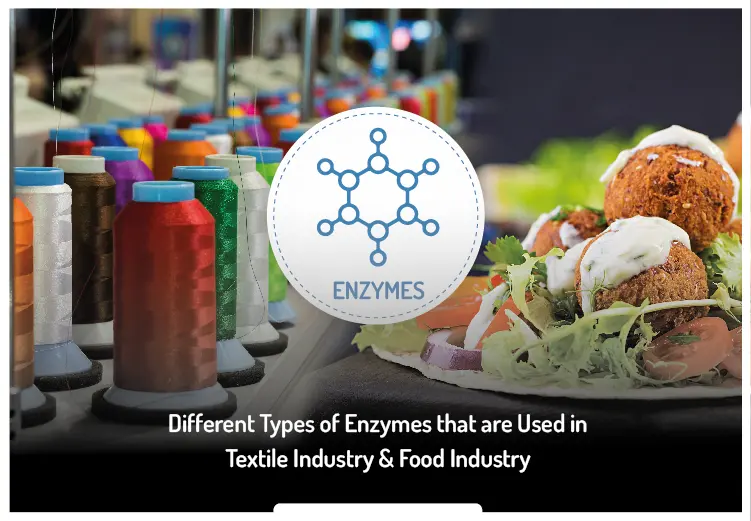 Enzyme Types Used in Textiles and Food Industries