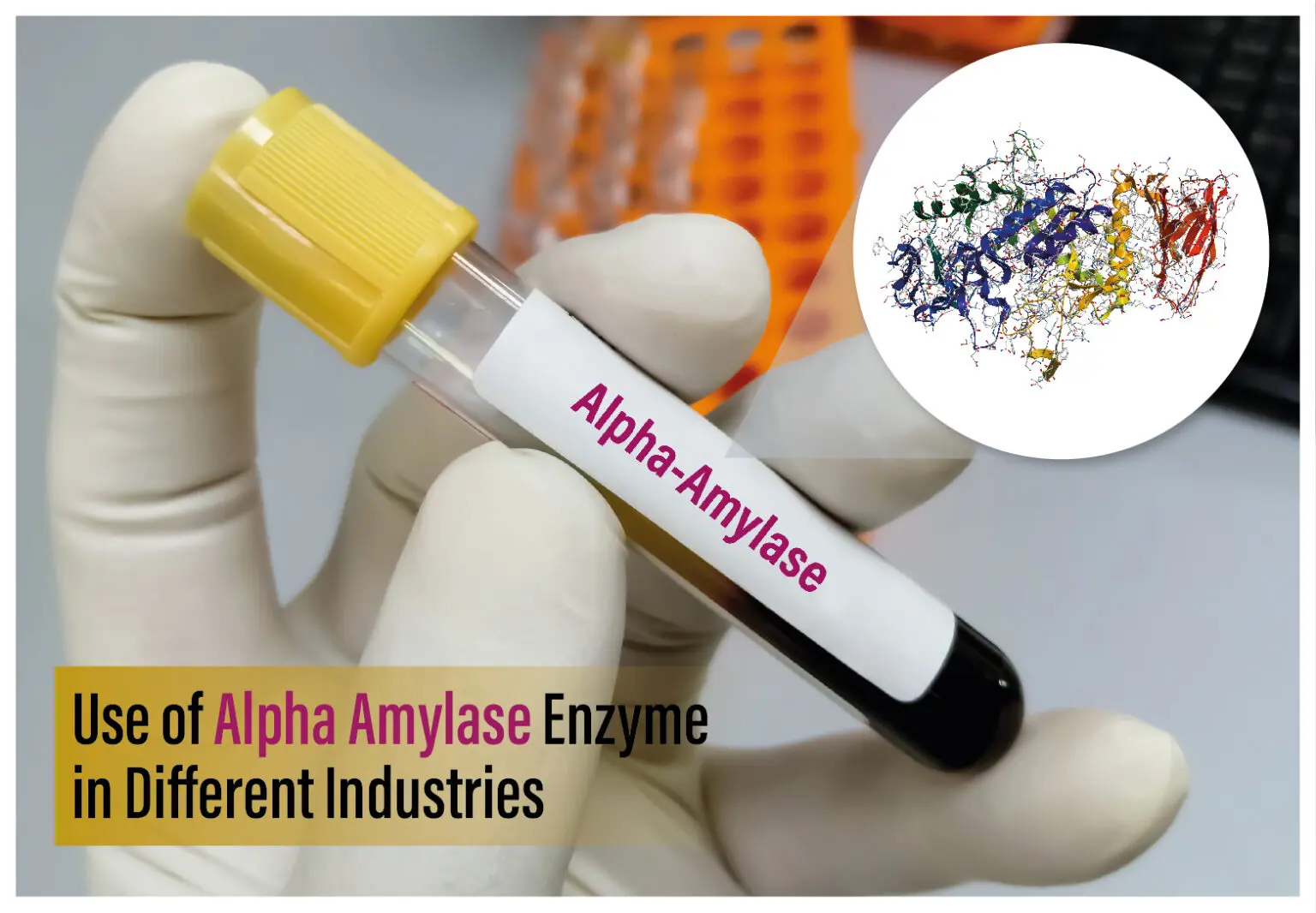 Use Of Alpha Amylase Enzyme In Different Industries