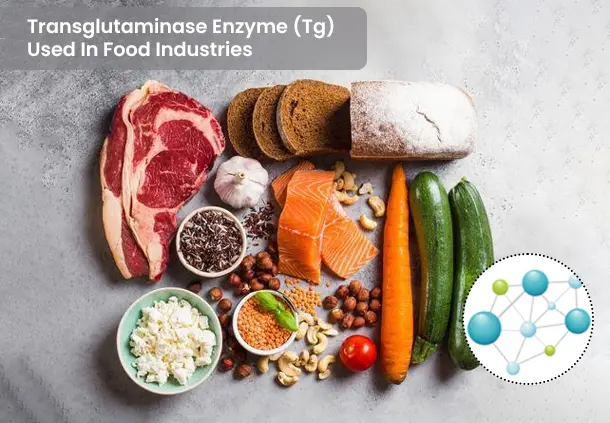Transglutaminase Enzyme Used (Tg) In Food Industries
