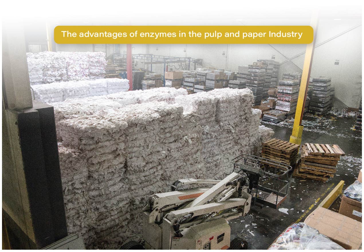 The advantages of enzymes in the pulp and paper Industry