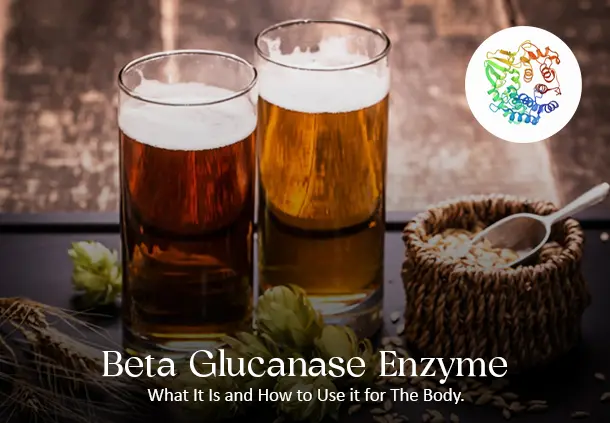 Beta Glucanase Enzyme: What It Is And How To Use It For The Body