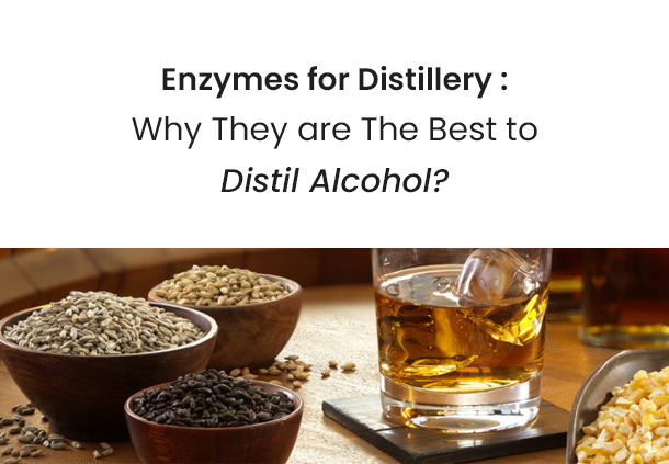 Enzymes for Distillery: Why they are The Best to Distil Alcohol?