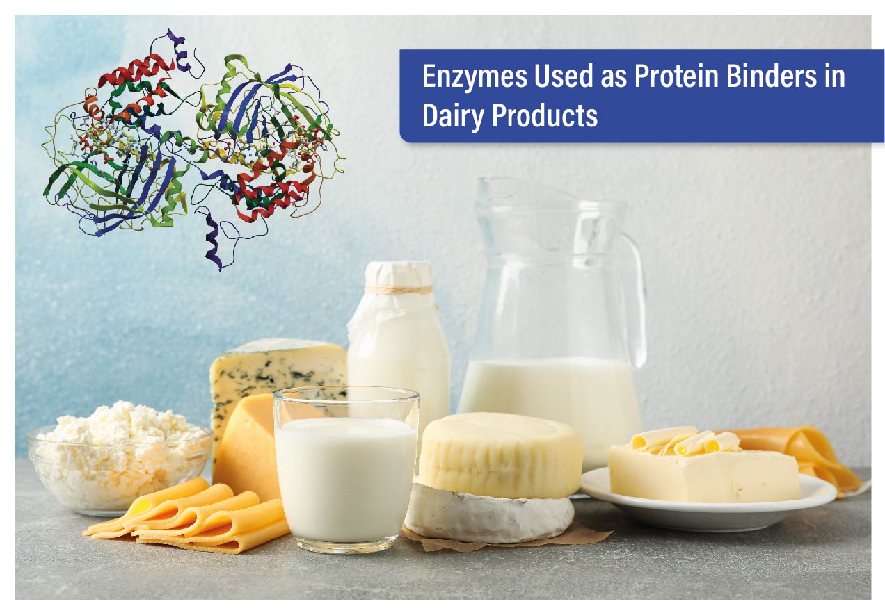 Enzymes Used as Protein Binders in Dairy Products