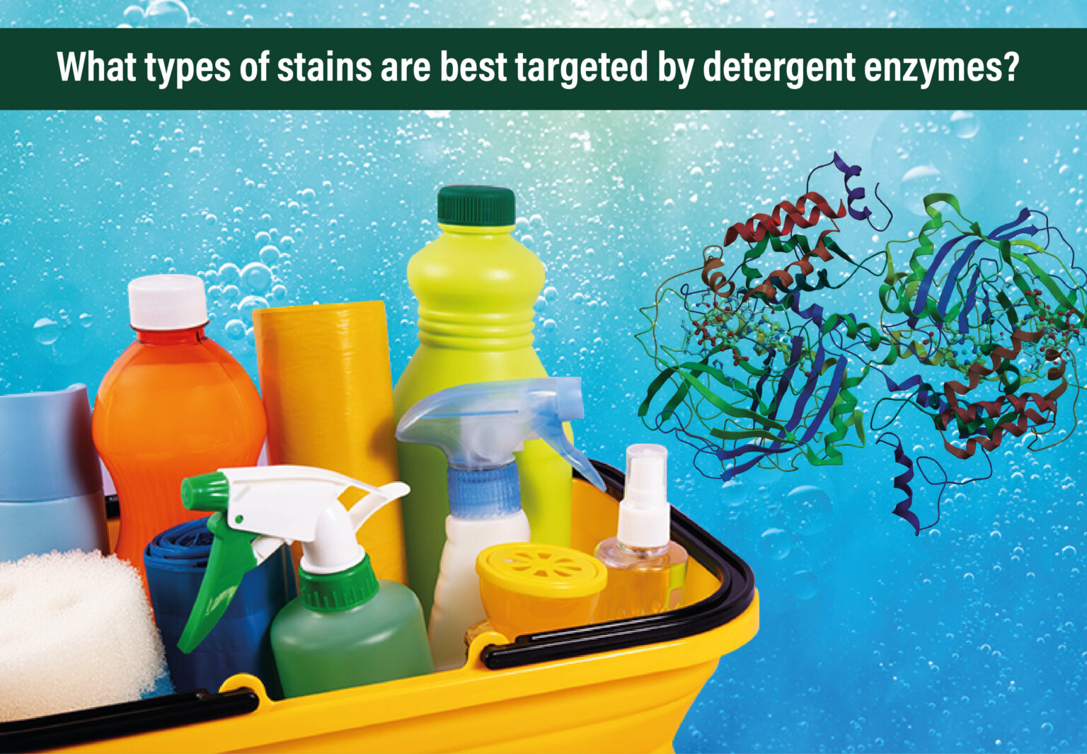 What Types Of Stains Are Best Targeted By Detergent Enzymes