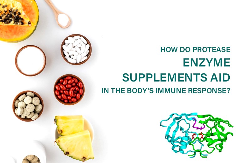 How Do Protease Enzyme Supplements Aid In The Body’s Immune Response?