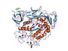 Alpha amylase