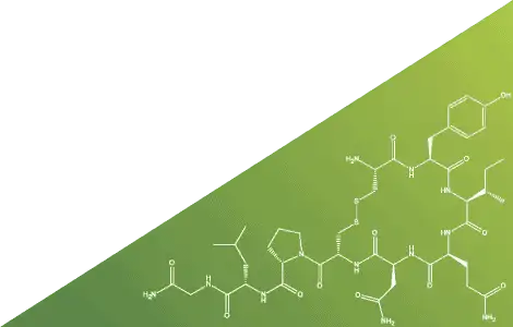 enzymes manufacturers in india