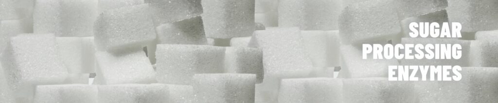 Sugar processing enzymes banner