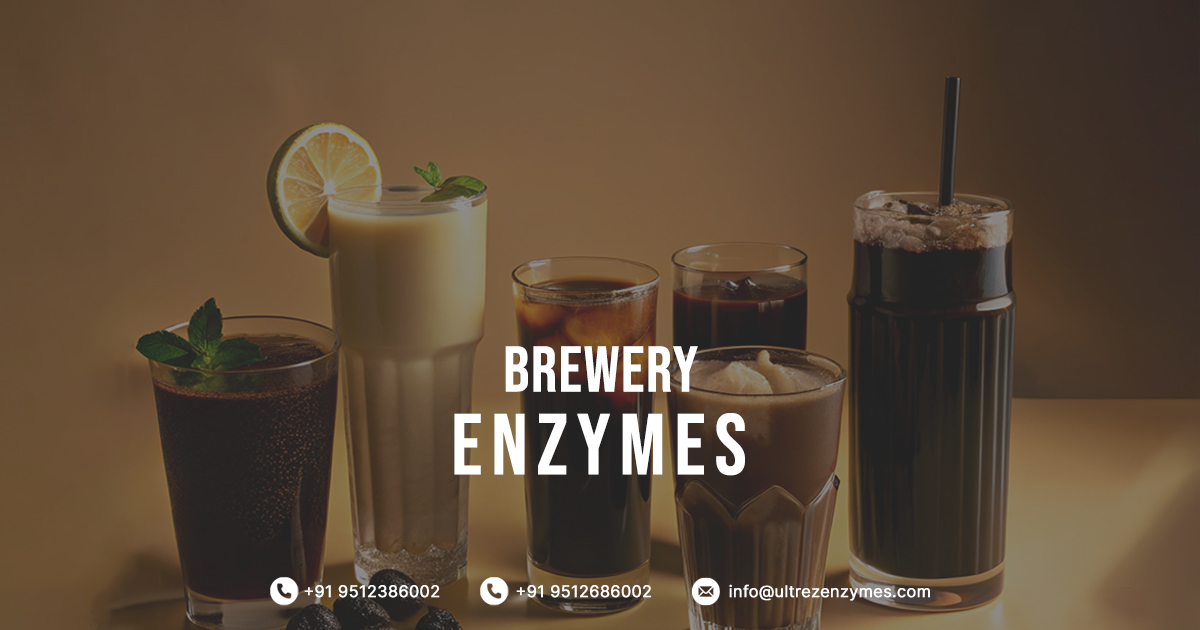 Enzymes For Brewery Industry