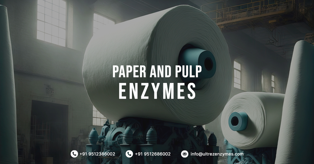 Paper and pulp enzymes