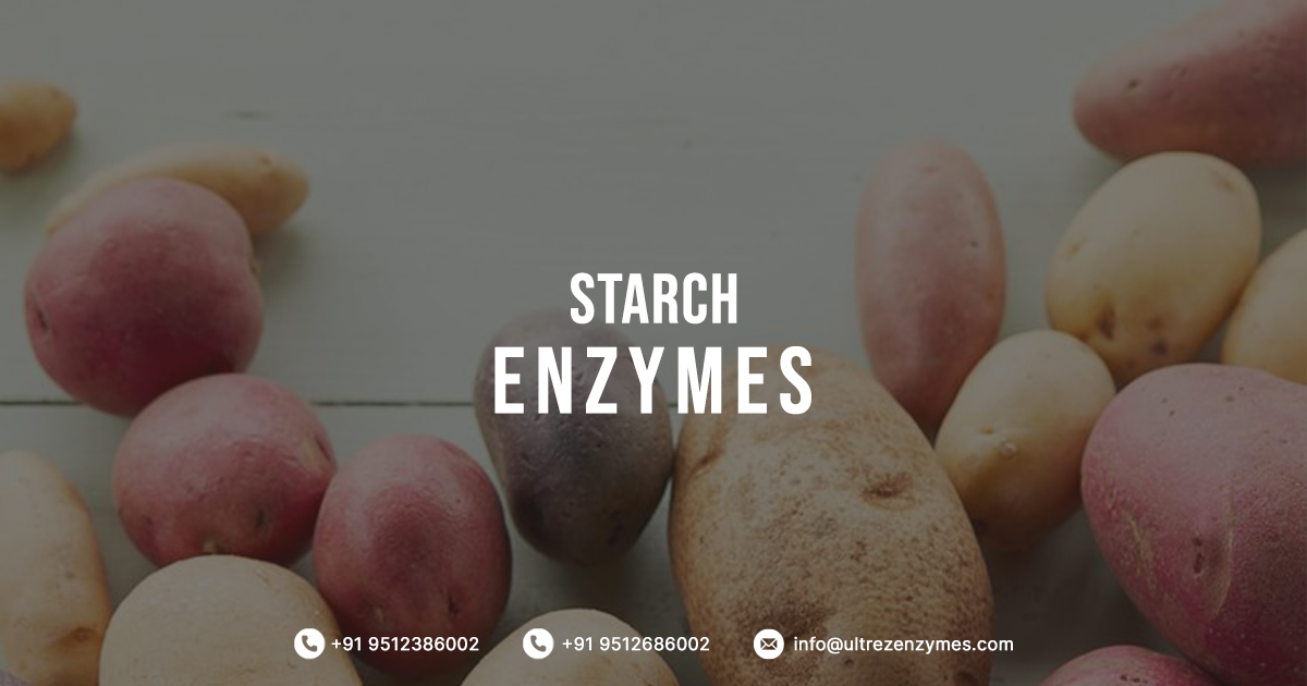 Starch Processing Enzymes