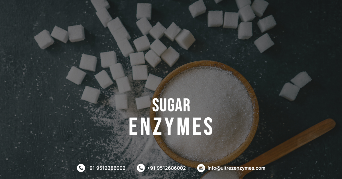 Sugar Processing Enzymes