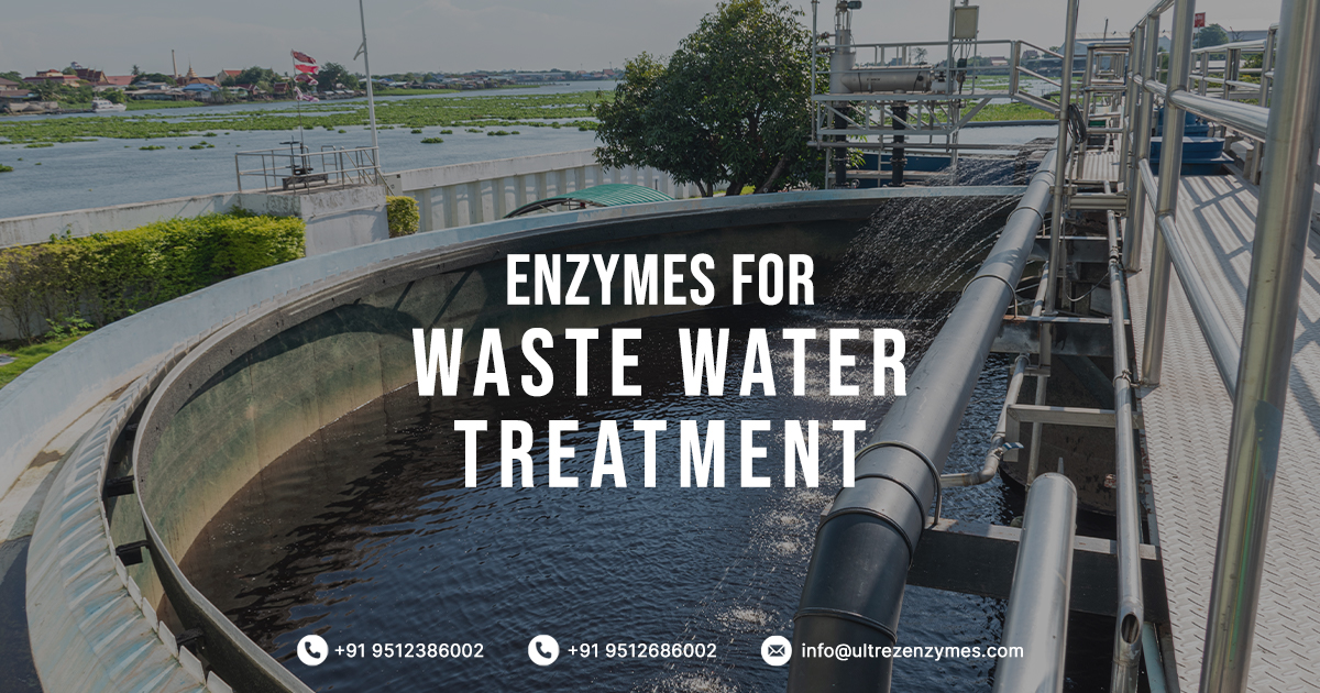 Enzymes For Waste Water Treatment