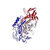 Alpha amylase enzymes
