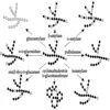 Xylanase improves extraction and beer filtration