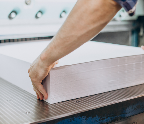 Paper And Pulp Enzymes