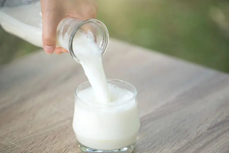 Lactase Enzyme