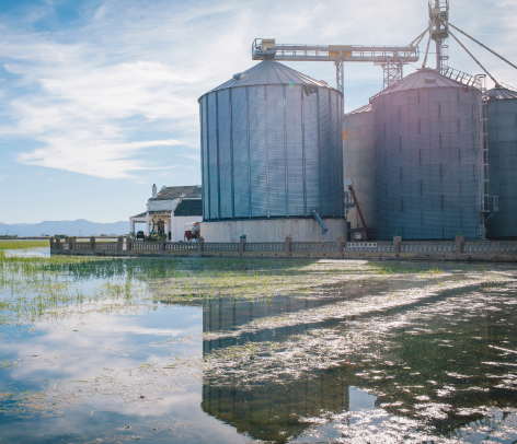 Enzymes For Waste Water Treatment