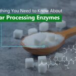 Sugar Processing Enzymes