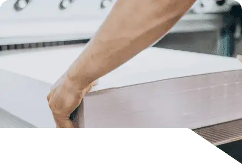 Paper and pulp enzymes