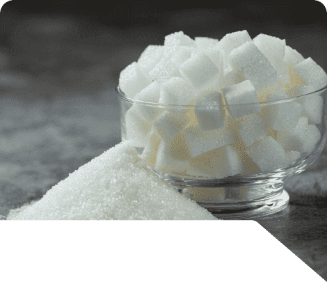 Sugar Processing Enzymes