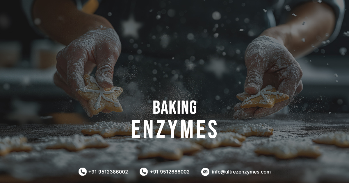 Enzymes for Baking Industry