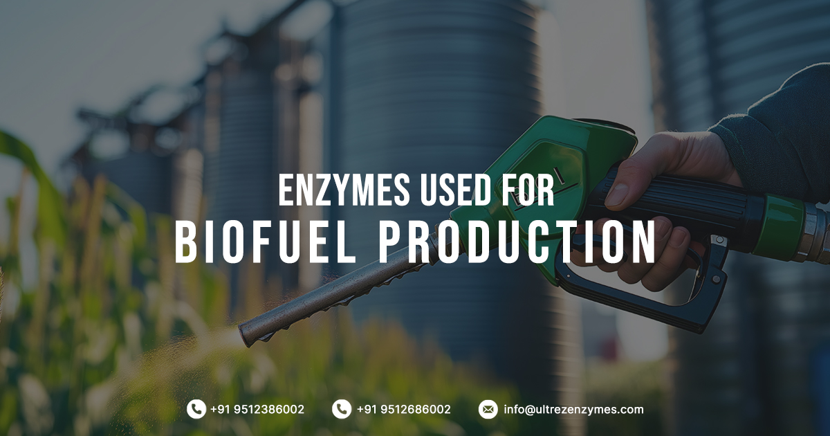 Enzymes in Biofuels Production