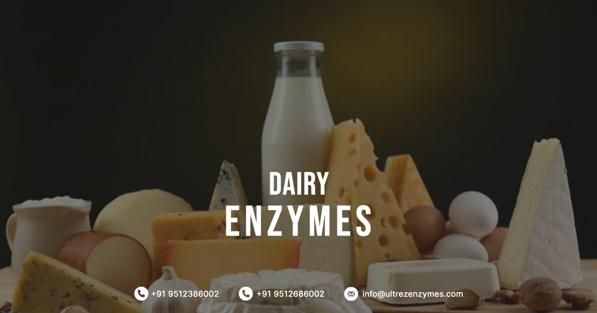 Enzymes for Dairy Processing