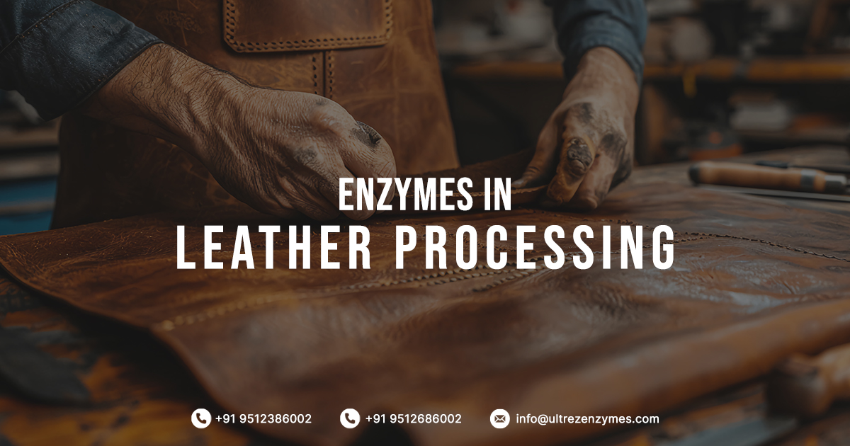 Enzymes In Leather Processing