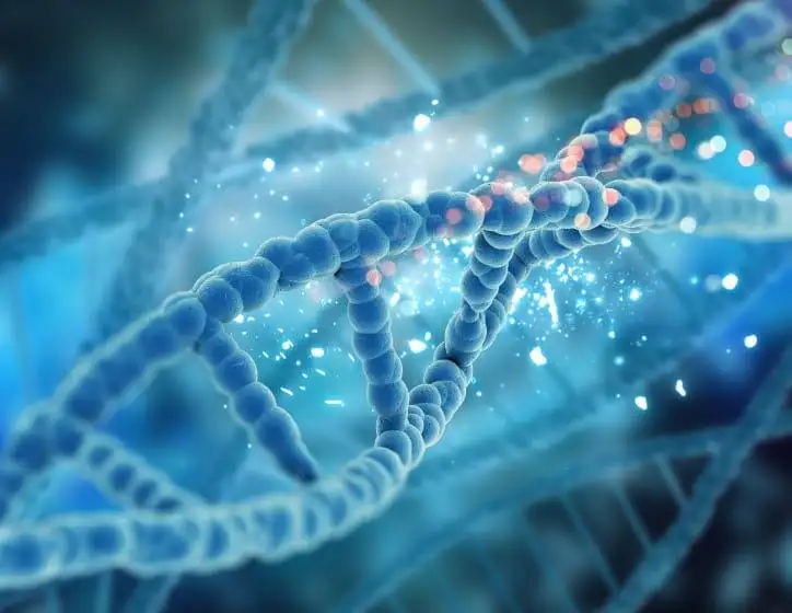 Enzymes Supplier & Exporter In India | Enzymes Manufacturing In Surat