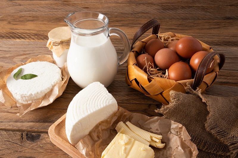 Enzymes for Dairy Processing