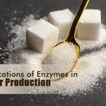 Applications Of Enzymes In Sugar Production