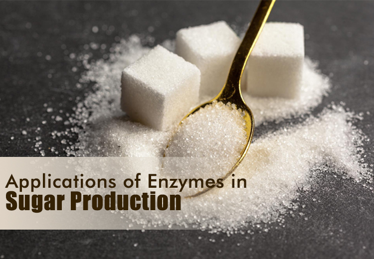 Applications Of Enzymes in Sugar Production