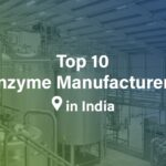 10 enzyme manufacturers in India