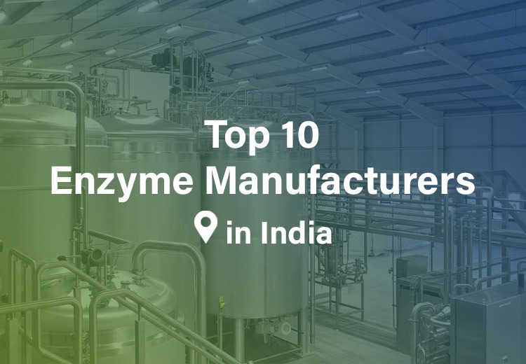 Top 10 Enzyme Manufacturers India