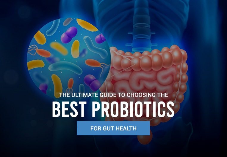 Top 10 Enzyme Manufacturers India