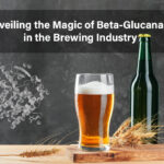 Brewing Industry Beta-Glucanase