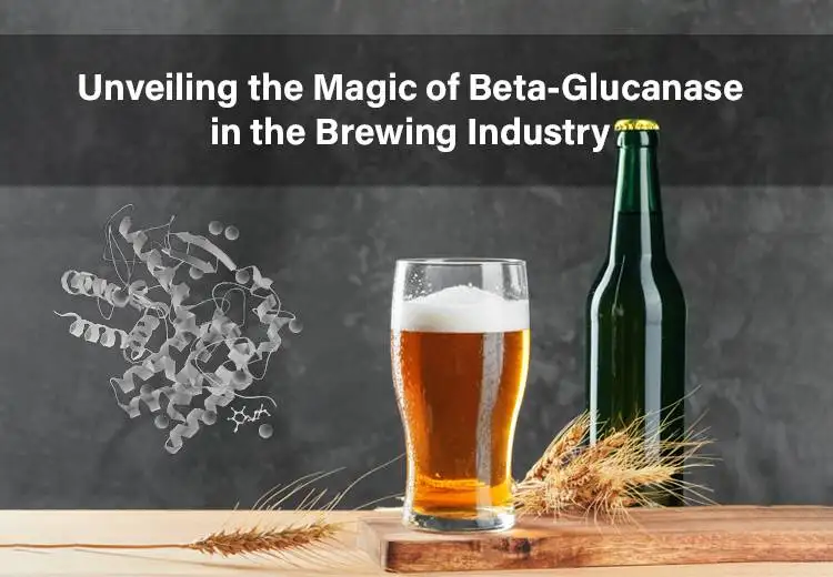 Unveiling the Magic of Beta-Glucanase in the Brewing Industry
