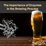 Brewing Process Enzymes