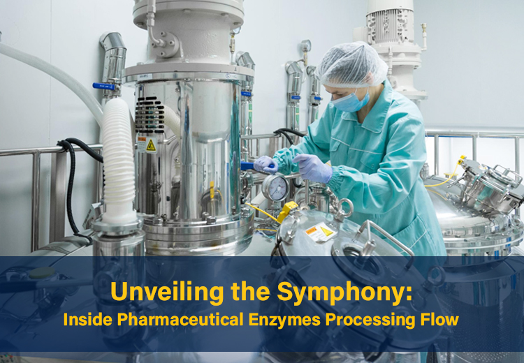 Unveiling the Symphony: Inside Pharmaceutical Enzymes Processing Flow