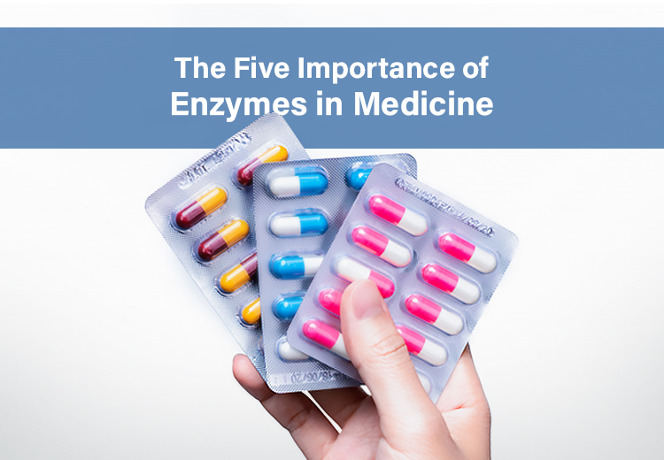 The Five Importance of Enzymes in Medicine