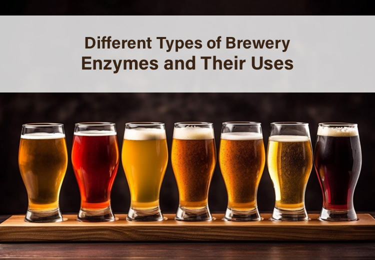 Different Types of Brewery Enzymes and Their Uses