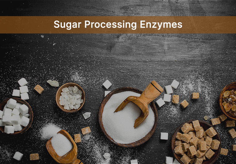 Sugar Processing Enzymes