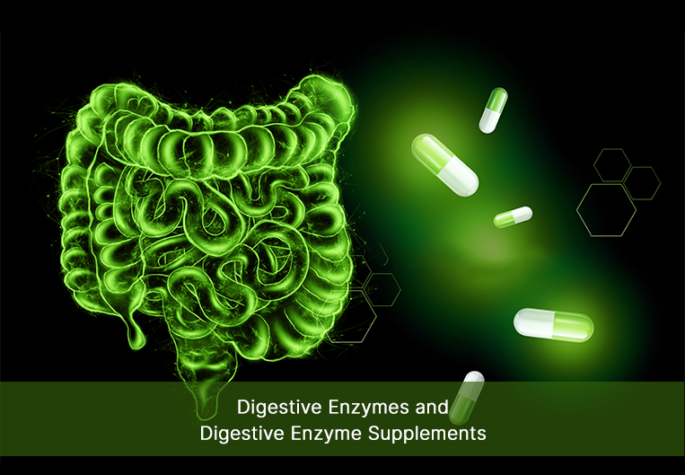 Digestive Enzymes and Digestive Enzyme Supplements