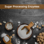 sugar processing enzymes