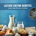 Lactase Enzyme Benefits